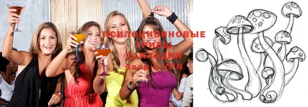 молекула духа Алзамай
